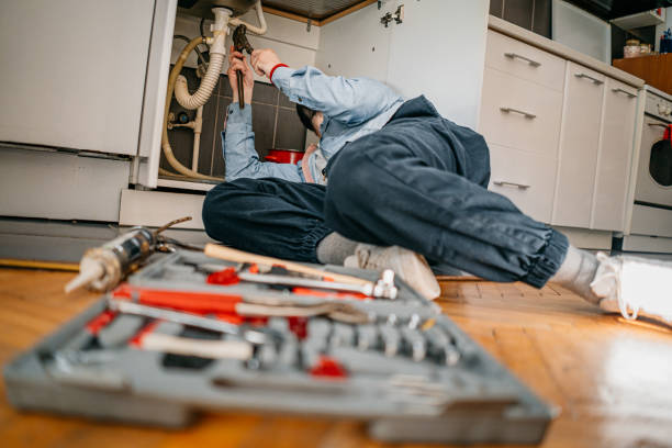 Best Local Plumber Services  in Shaw Heights, CO